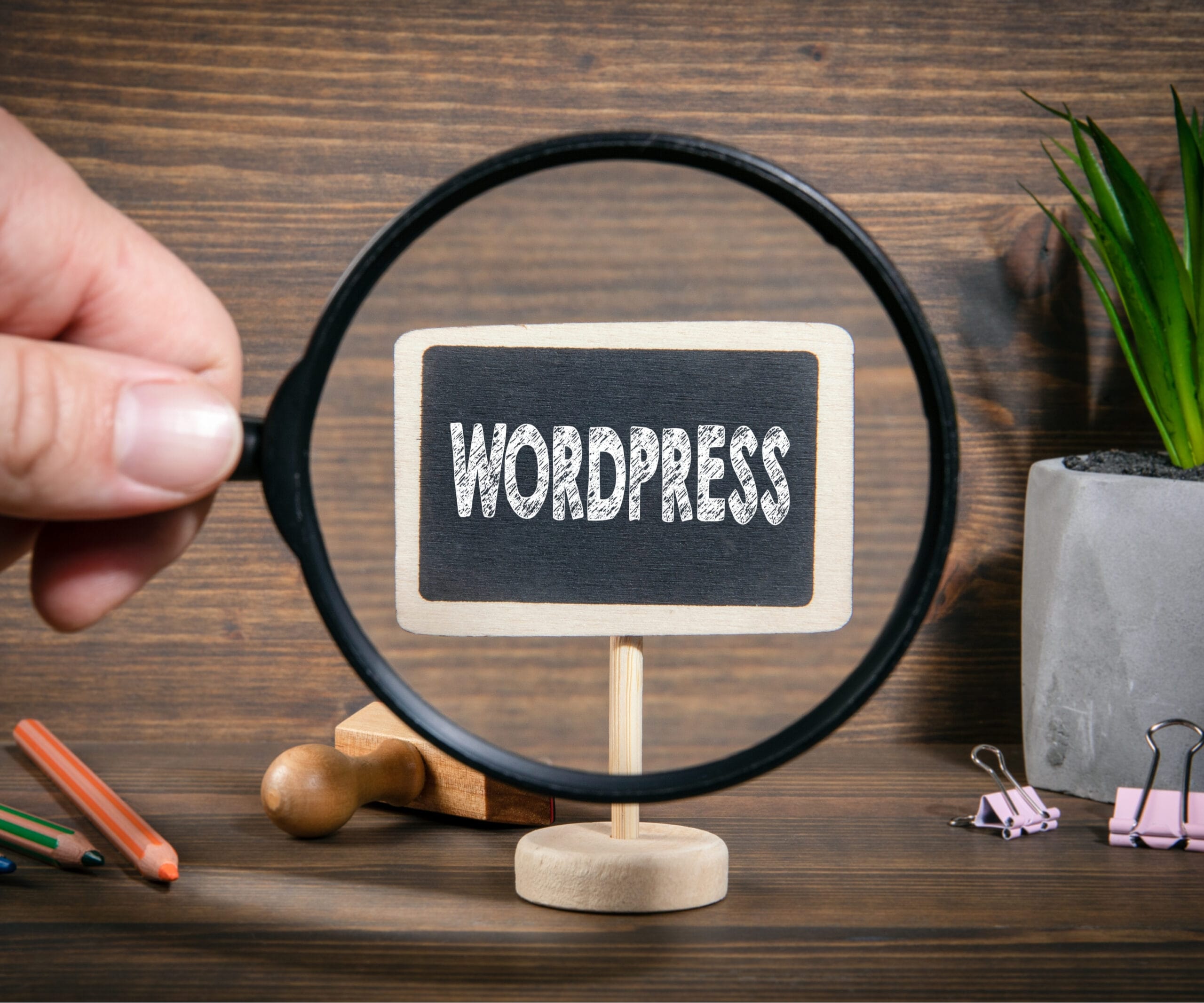 WordPress SEO 3 WordPress SEO Services